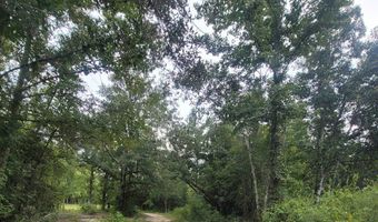 00 Coot Adams Rd, Ashford, AL 36312