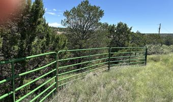 132 E Cedar Road Rd, Capitan, NM 88316