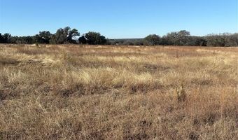 1190 N State HWY 220, Hico, TX 76457