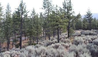 030 Butterfly Peak Rd, Mountain Center, CA 92561