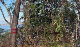 2123 Calhoun Dr, Abbeville, AL 36310