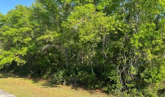 135 Water Oaks Way, Apalachicola, FL 32320