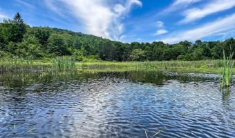 0 Woodland Hills Rd, Andes, NY 13731