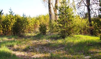 7 Placer Pl Lot 13, Cascade, ID 83611