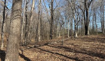 PAYNES POND RD, Arvonia, VA 23004