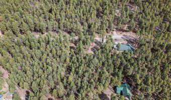 272 Timber Dr, Bayfield, CO 81122