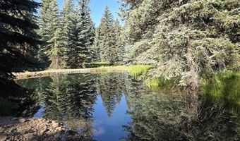 201 Golden Forest Rd, Bayfield, CO 81122