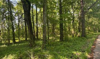 0001 Old Highway 471, Brandon, MS 39042
