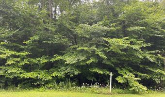 Lot 33 Scenic Drive, Blakeslee, PA 18610
