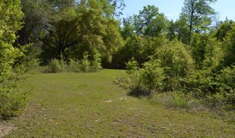 214 Lakepoint Rd, Alford, FL 32420