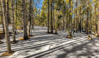 COUNTY ROAD 19 lot 0, Alma, CO 80420