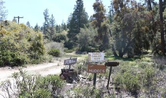 30 Seven Oaks Rd 30, Angelus Oaks, CA 92305