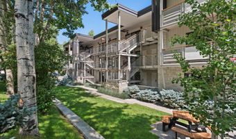 100 E Dean St 2D, Aspen, CO 81611