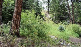 25653 Buckhorn Rd, Bellvue, CO 80512