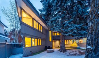 506 W Hallam St, Aspen, CO 81611