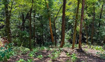 3 Black Rock Trl 3, Andrews, NC 28901