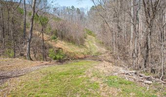 163 Acres Duck Springs Rd, Attalla, AL 35954