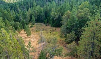 Buckhorn Springs Rd, Ashland, OR 97520