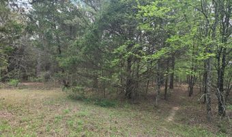 Cloverleaf Way lot 5, Antlers, OK 74523