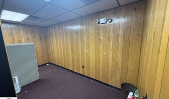 217 N State, Alma, MI 48801
