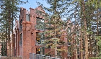 315 E Dean St B65, Aspen, CO 81611