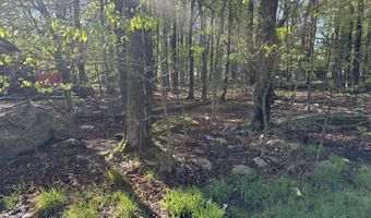 Lot K204 Knollwood Dr Drive, Tobyhanna, PA 18466