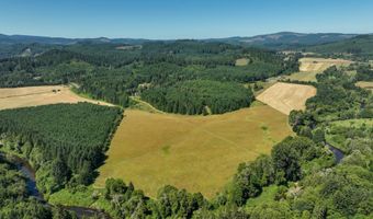 10090 HIGHWAY 202, Birkenfeld, OR 97016