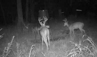 38774 S Mccarrol Rd, Amite, LA 70422