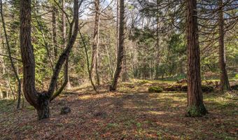 2829 Buckhorn Springs Rd, Ashland, OR 97520