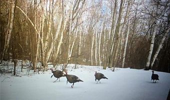 59971 Cloverdale Rd, Askov, MN 55704