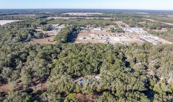 1809 Rosemary Cir, Bell, FL 32619