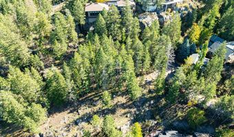 266 Eagle Bend Dr, Bigfork, MT 59911