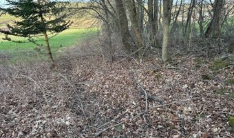 Lot 4 Mud Run Rd, Addison, NY 14801