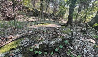 71 8 Klondike Rd, Anderson, MO 64831