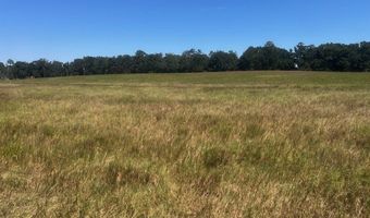 3830 NW 31st Ave, Bell, FL 32619