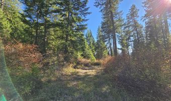 25 XX BURGESS Rd, Addy, WA 99101