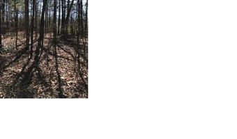 AURORA DRIVE 37, Alpine, AL 35014