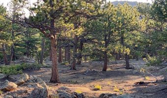 12190 Highway 7, Allenspark, CO 80510