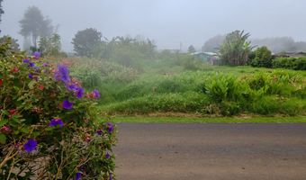 64-5296 NOEKOLO St, Kamuela, HI 96743