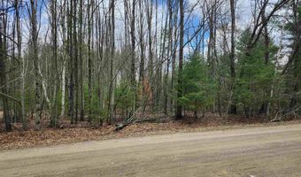 N Forest Lake Drive, Alger, MI 48610