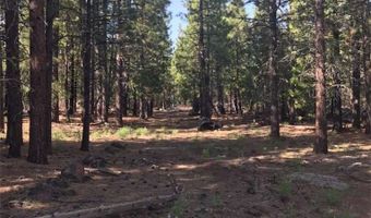 0 Sundown Rd, Alturas, CA 96101