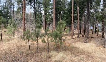 000 COUNTY ROAD 2196 LOT 74 AFE, Alpine, AZ 85920