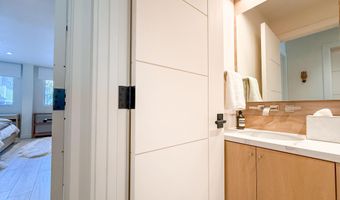 100 E Cooper Ave 4, Aspen, CO 81611
