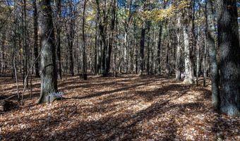 Lot 33 S Badger Lane, Arkdale, WI 54613