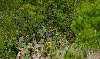 TR 4 Fm 735, Alice, TX 78332