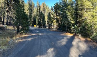 550 Cabbage Patch Log Rd, South Lake Tahoe, CA 95223