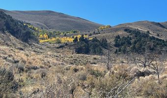 parcels at Pine Nut Creek area, Gardnerville, NV 89410