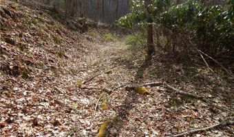 Gentry Farm Road, Aurora, NC 28743