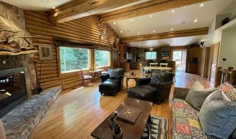 209 Deer Path Ln, Almont, CO 81230