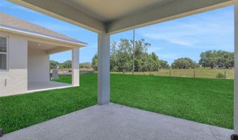 5565 MARSHELDER St, Apopka, FL 32712